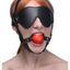 Blindfold Harness with Ball Gag