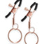 Bound Nipple Clamps C2