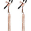 Bound Nipple Clamps D2 - Metal/Rose Gold