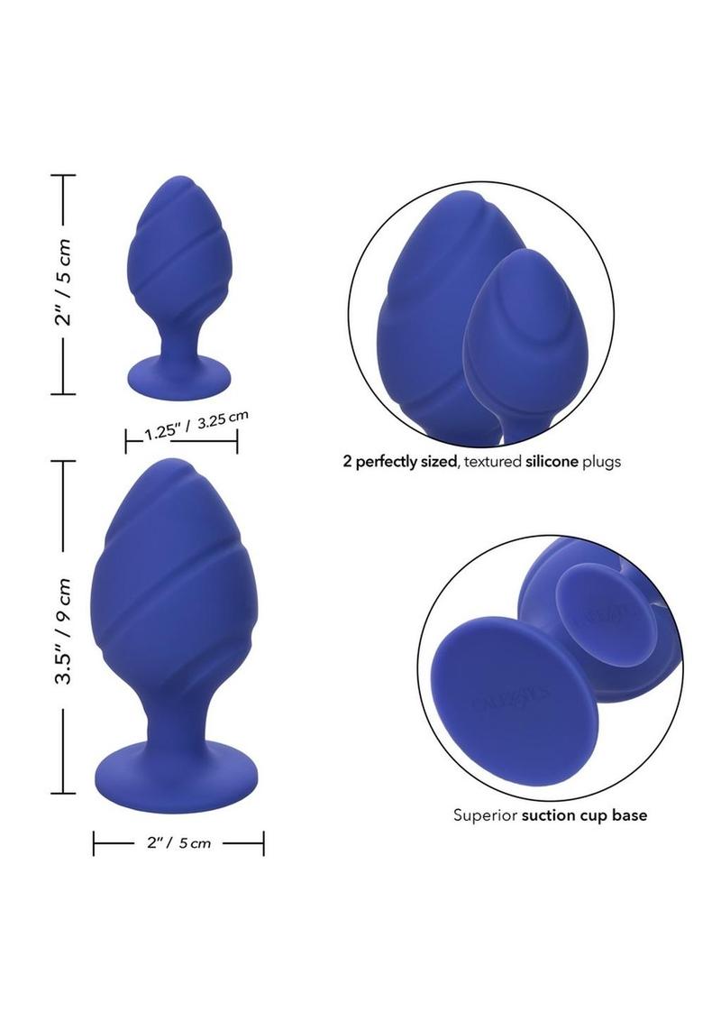 Cheeky Silicone Textured Anal Plugs - Blue/Purple - Large/Small - Set Of 2