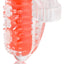 Color Pop Quickie Lingo Silicone Vibrating Tongue Ring Waterproof