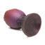 Creature Cocks Dragon Hatch Silicone Egg