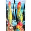 Creature Cocks Majestic Merman Silicone Dildo