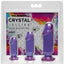 Crystal Jellies Anal Starter - Purple - 3 Piece Kit