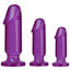 Crystal Jellies Anal Starter - Purple - 3 Piece Kit