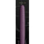 Desire Amore Rechargeable Silicone Dual End Vibrator