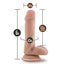 Dr. Skin Dr. Daniel Silicone Dildo with Balls and Suction Cup