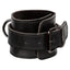 Euphoria Collection Ankle Cuffs