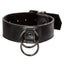 Euphoria Collection Collar with Chain Leash