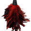 Fetish Fantasy Series Frisky Feather Duster - Red