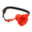 Master Series Blossom Gag Silicone Rose Gag - Black/Red