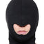 Master Series Blow Hole Open Mouth Spandex Hood