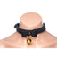 Master Series Golden Kitty Cat Bell Collar