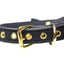 Master Series Golden Kitty Cat Bell Collar