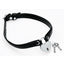 Master Series Heart Lock Choker with Keys