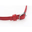 Master Series Heart Lock Choker with Keys - Red