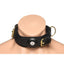 Master Series Tracer Tracking Collar