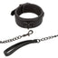 Nocturnal Collection Collar and Leash