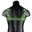 Ouch! Buckle Harness