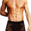 Prowler Lace Trunk - Black - Large