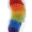 Rainbow Foxy Tail Pleasure Stainless Steel Plug