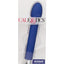 Risque 10 Function Tulip Vibrator - Blue