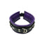 Rouge 3 D-Ring Padded Leather Adjustable Collar - Black/Purple