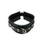 Rouge 3 D-Ring Padded Leather Adjustable Collar