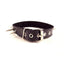 Rouge Adjustable Leather Spiked Collar - Black