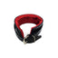 Rouge Leather Collar with Faux Fur Lining