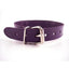 Rouge O Ring Studded Adjustable Leather Collar - Purple