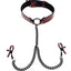 Saffron Collar with Nipple Clamp