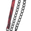Scandal Leash