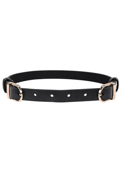 Sex and Mischief Double Buckle Day Collar - Black/Gold