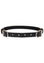 Sex and Mischief Double Buckle Day Collar - Black/Gold