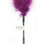 Sex and Mischief Feather Tickler - Purple
