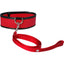 Sex and Mischief Leash and Collar