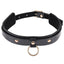 Sex and Mischief Orbit Day Collar