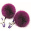 Sexy AF Nipple Clamps Puff Balls - Purple