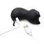 Shegasm Sucky Kitty Rechargeable Silicone Clitoral Stimulator - Black