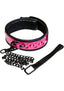 Sinful 2in Collar - Pink