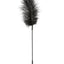 Sportsheets Ostrich Feather Tickler - Black