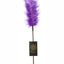 Sportsheets Ostrich Feather Tickler - Purple