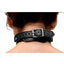 Strict Female Chest Harness