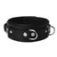 Strict Leather Premium Locking Collar - Black