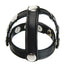 Strict Snap-On Cock and Ball Harness - Black
