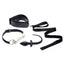 Tailz Puppy Play Kit