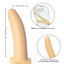 The Original Accommodator Dong