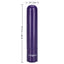 Tiny Teasers Rechargeable Bullet