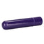 Tiny Teasers Rechargeable Bullet